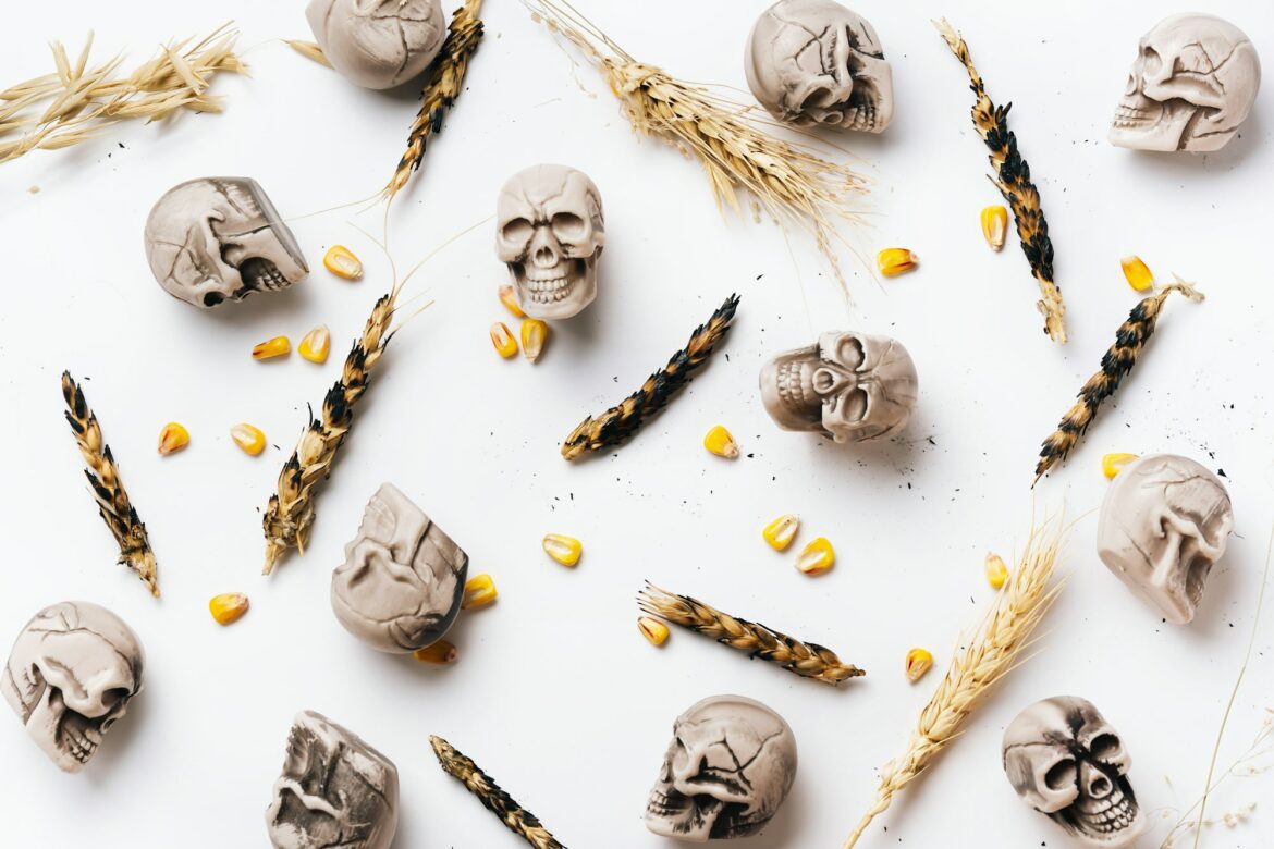 كيف يمكن للذكاء الاصطناعي مساعدة العالم في حل أزمة الغذاء؟