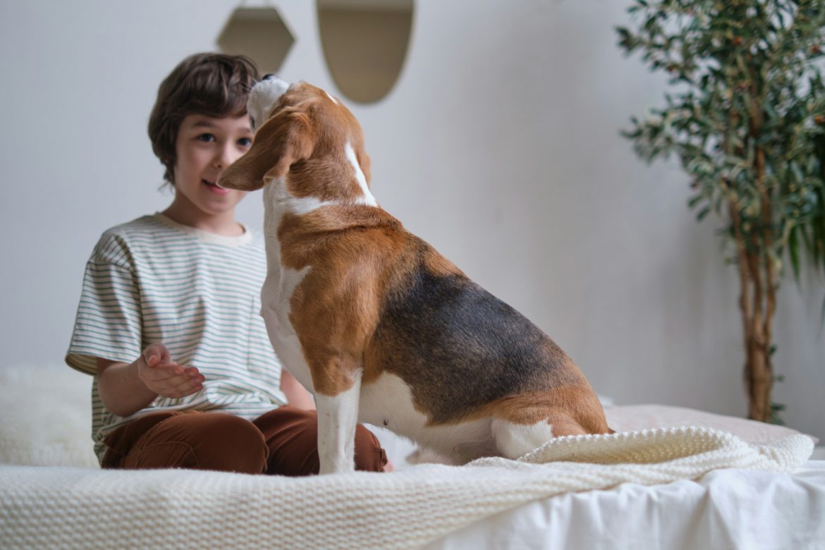 تقدم الذكاء الاصطناعي في فك شفرة لغة الحيوانات: عصر جديد للعلاقات بين البشر والحيوانات