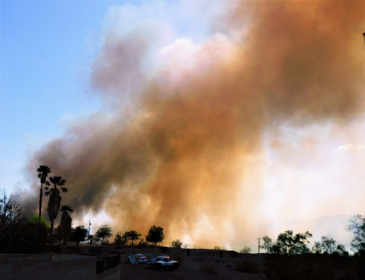 جوجل تطلق أداة ذكاء اصطناعي لتحديد حدود حرائق الغابات بدقة فائقة