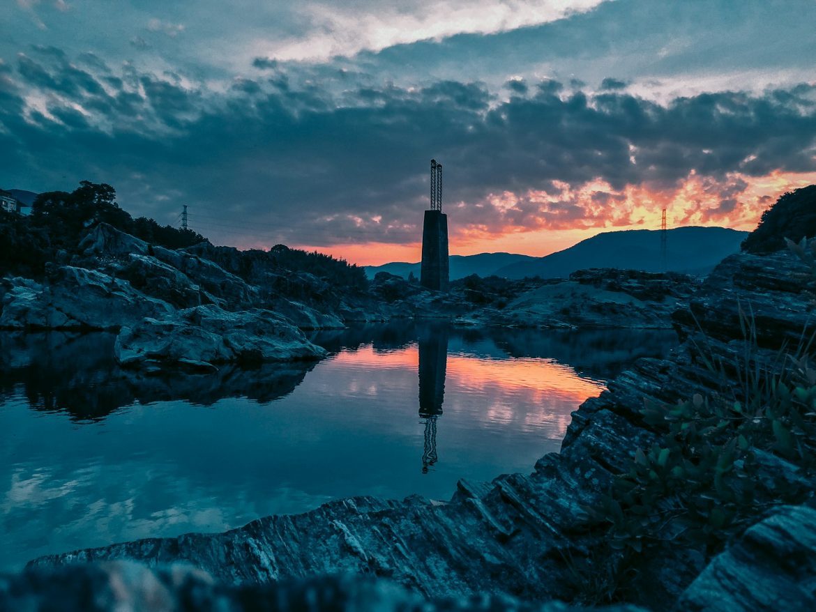 // the beauty of the natural world lies in the details // // the beauty of the natural world lies in the details //