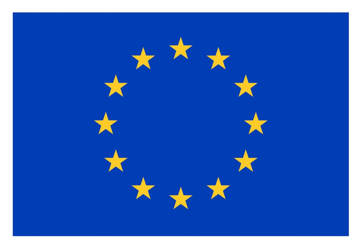 European flag
