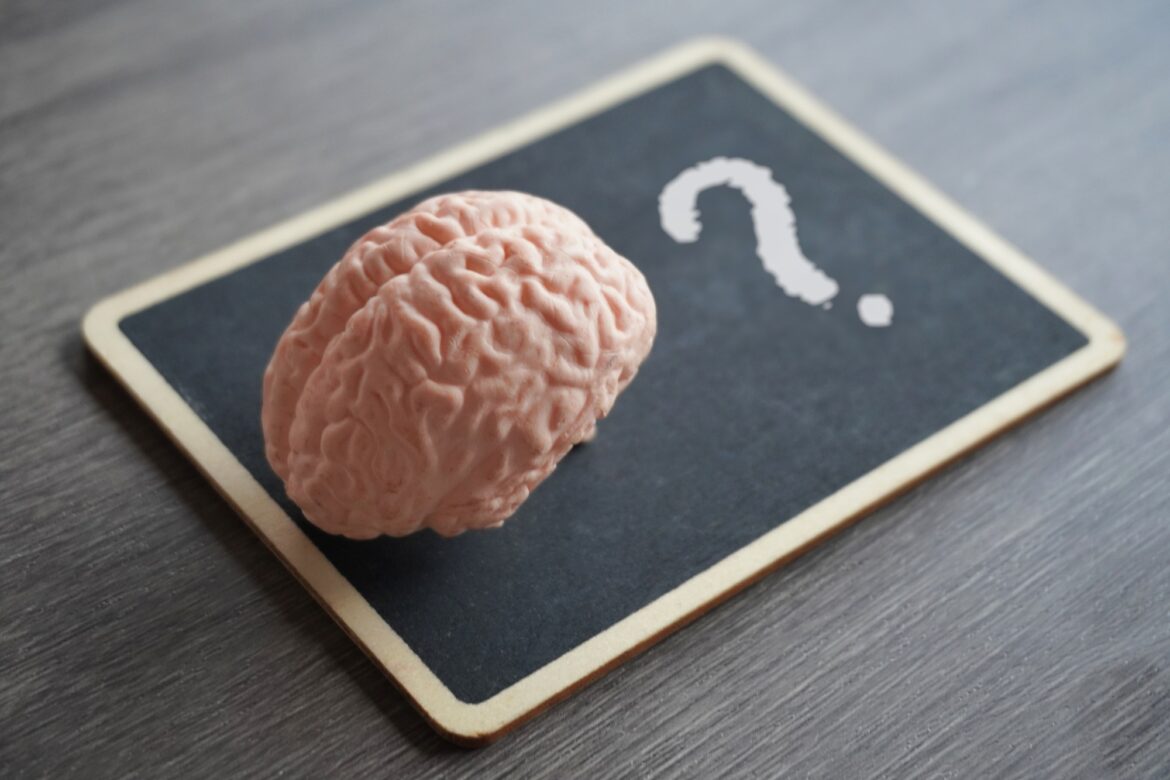 Human brain model on top of a blackboard with a question mark. سر الذكاء الاصطناعي: ما لا تعرفه عن مخرجاته الخفية