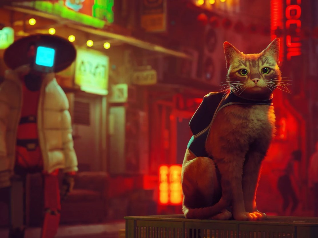 Stray-game.jpg