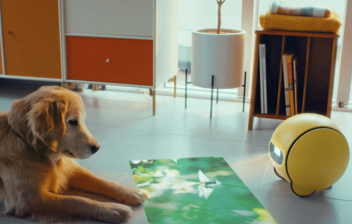 سامسونج تعيد إحياء روبوت الذكاء الاصطناعي Ballie: التكنولوجيا المستقبلية في خدمة الحياة اليومية