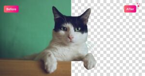 إزالة الخلفية بواسطة Magic Studio