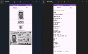 MiniAiLive ID