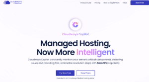 CoPilot – Cloudways by DigitalOcean