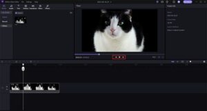 HitPaw Edimakor
